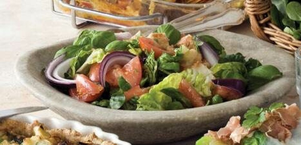 Italiensk brødsalat