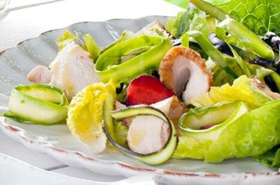 Salat med kylling og hyldeblomstdressing