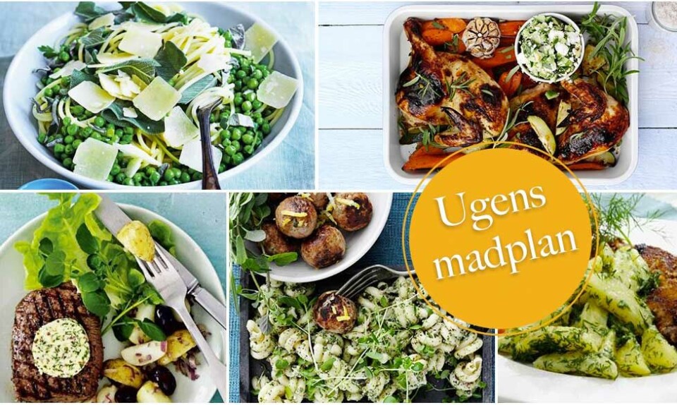 Madplan med opskrifter og indkøbsliste