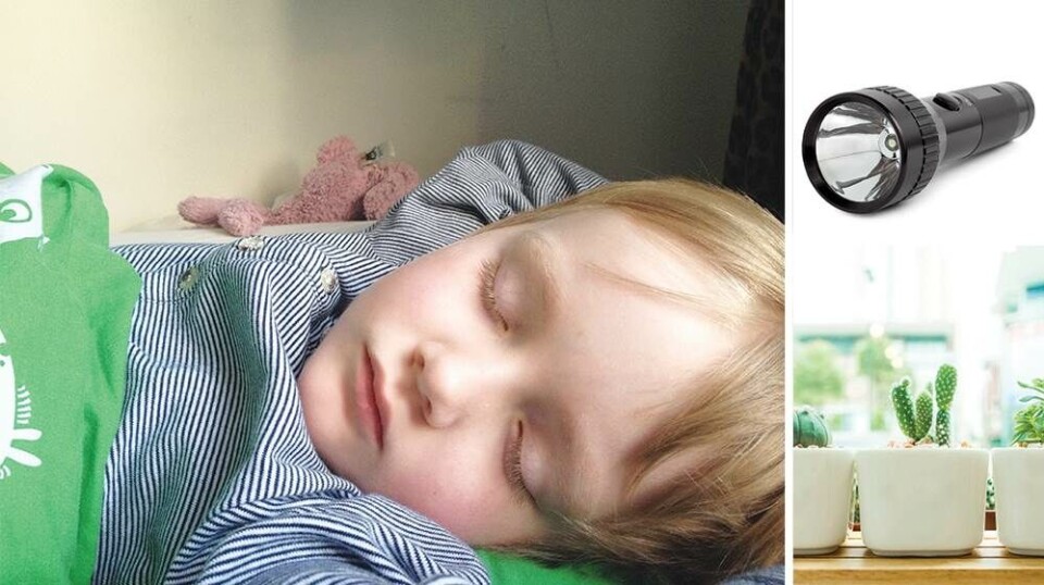 Livet ifølge en 5-årig