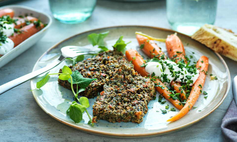 Grøntsagspostej og gulerodssalat