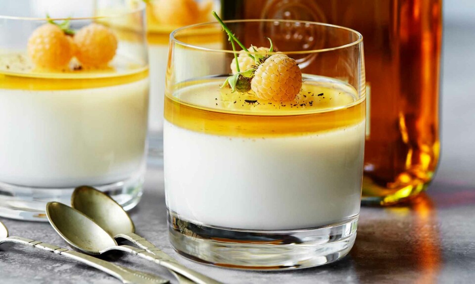 Panna cotta med whiskygelé