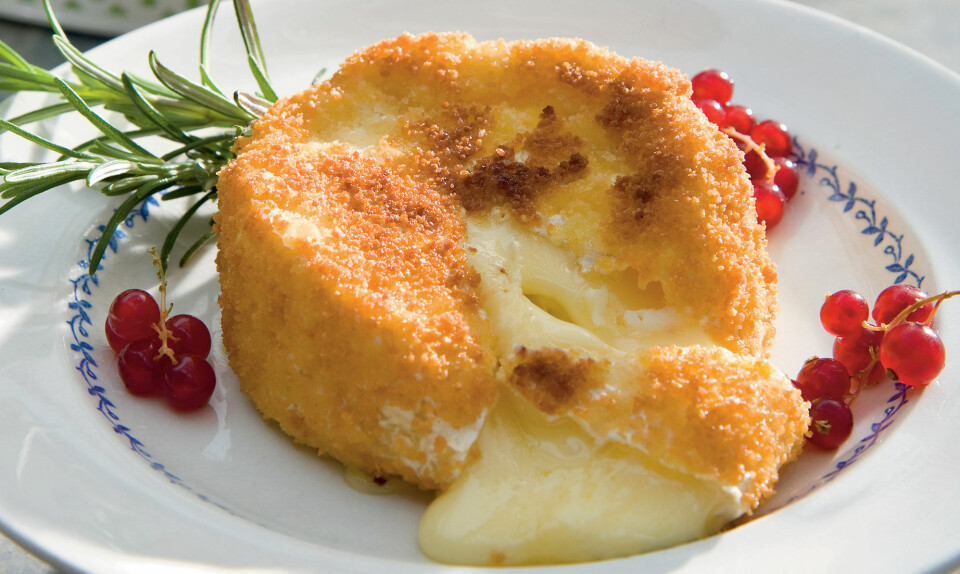 Friturestegt camembert