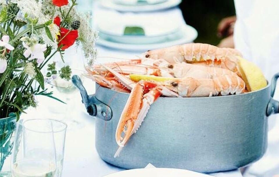 Kogte jumfruhummere med hjemmerørt mayonnaise