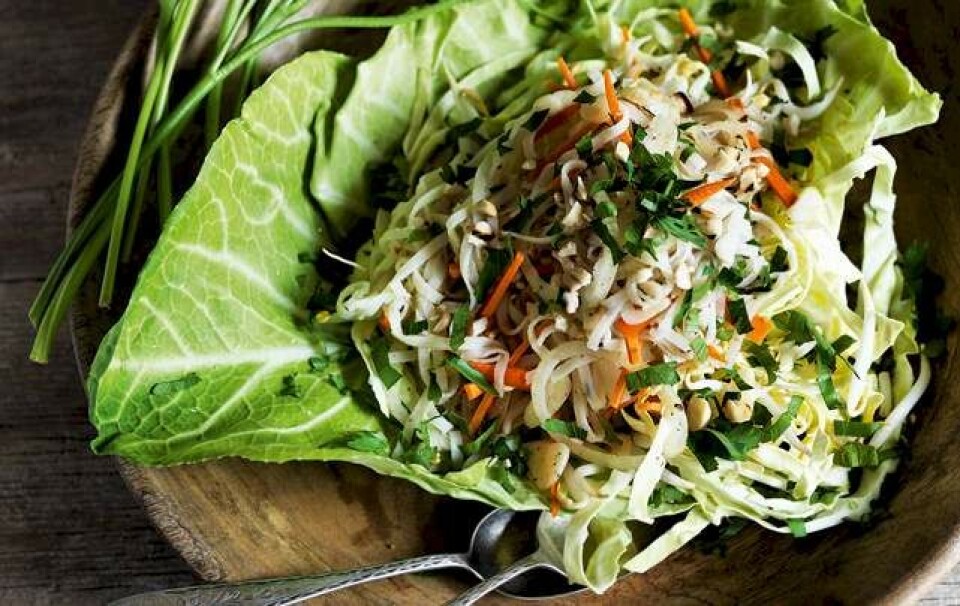 Stegt nudelsalat