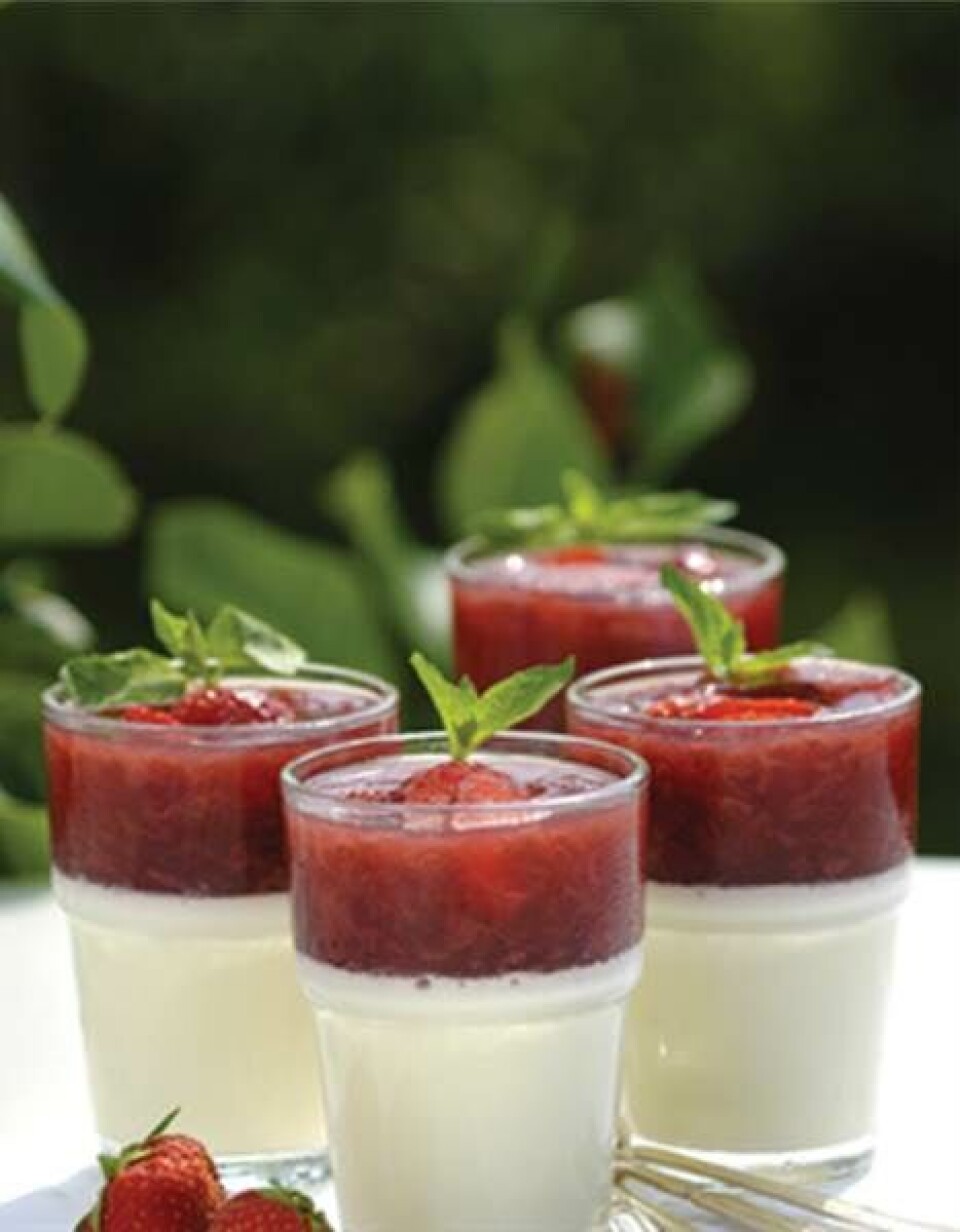 Panna Cotta med jordbær