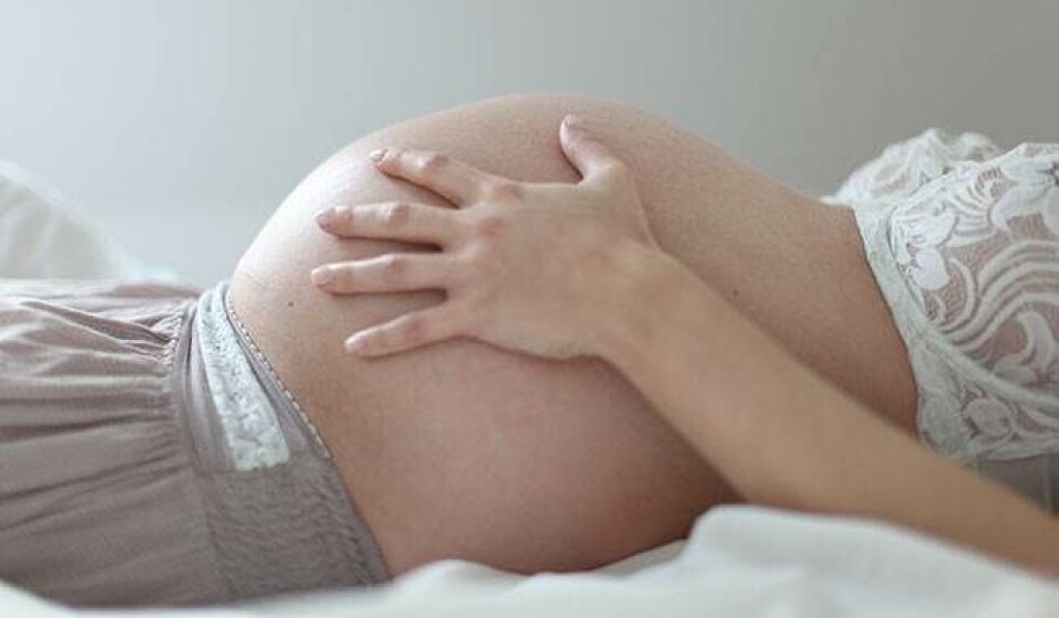 Gravid gener