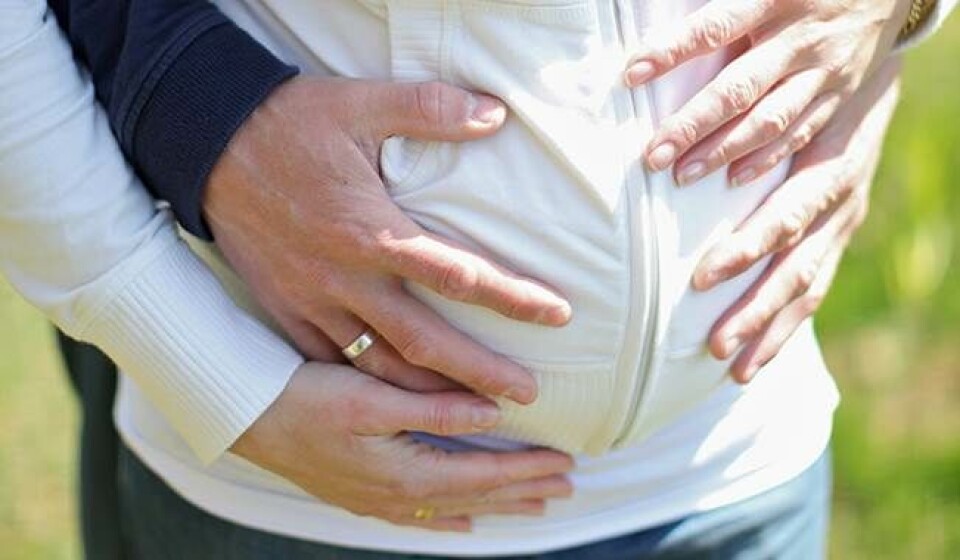 Gravid