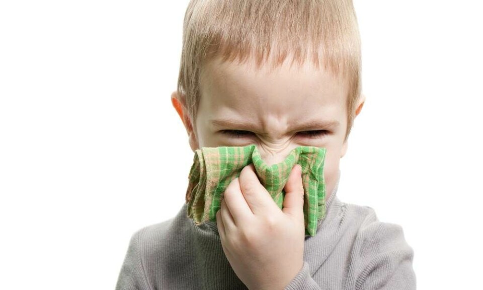 Allergi