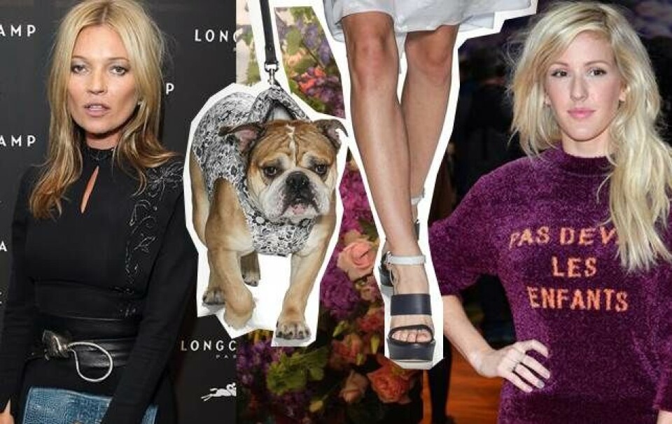 Modeuge i London: Hunde på catwalken og Kate Moss