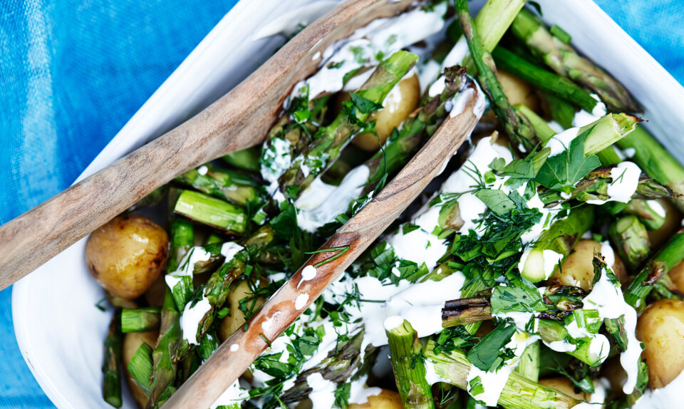 Nem kartoffelsalat med grillet asparges