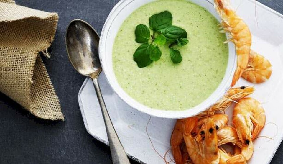 Opskrift på kold og stærk avocadosuppe