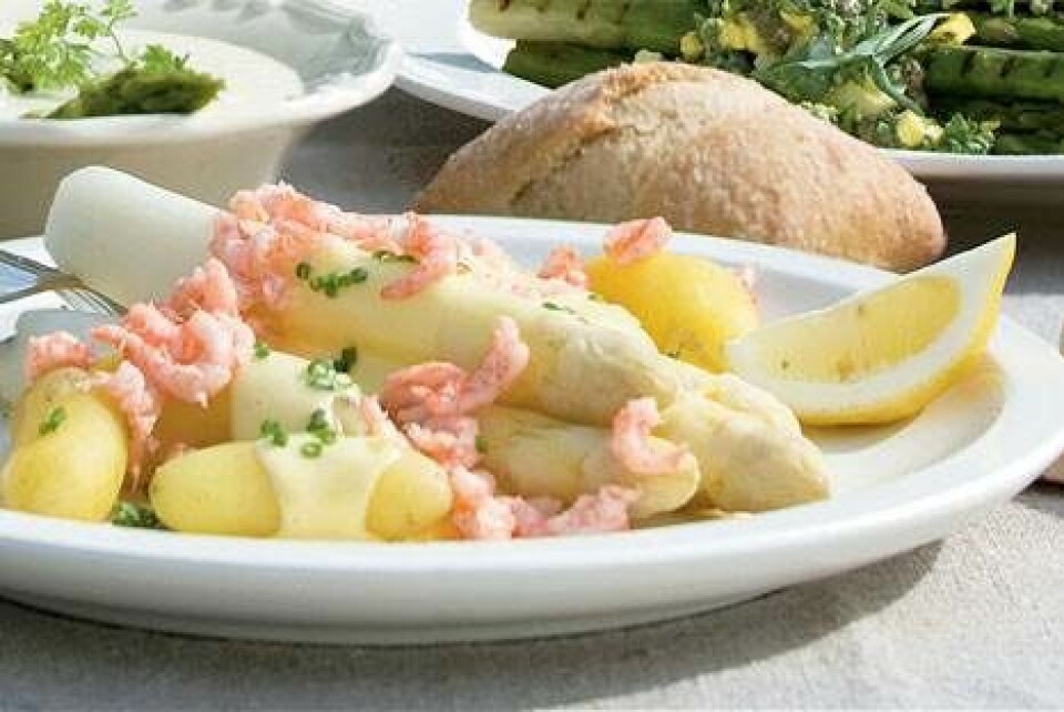 Asparges med rejer og hollandaisesovs