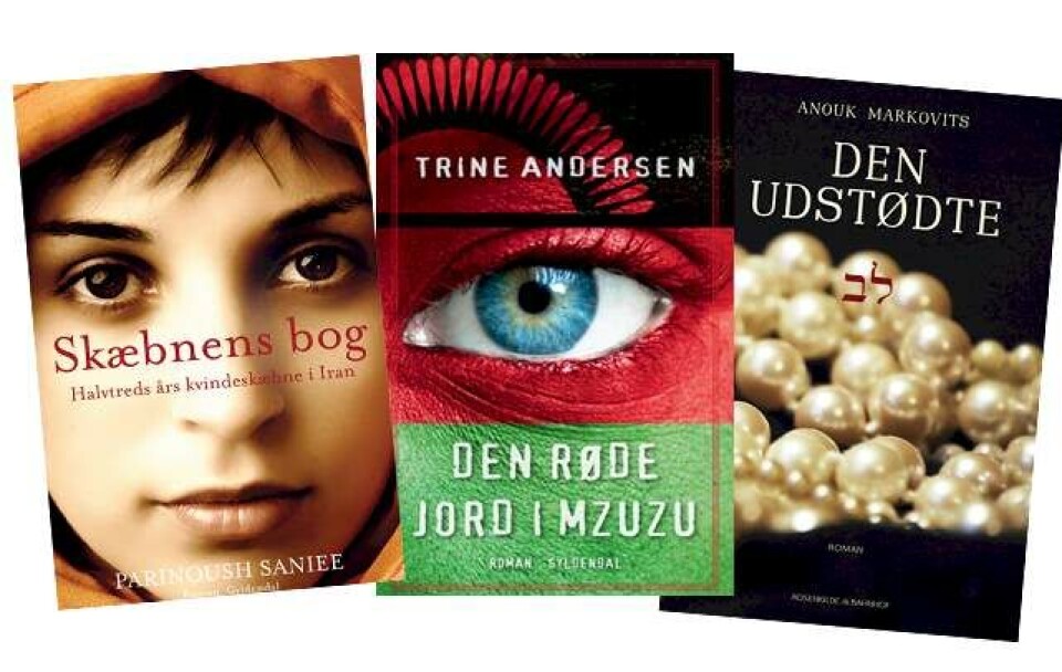 Ugens bøger: 'Det er en barsk historiefortælling og en trist øjenåbner'