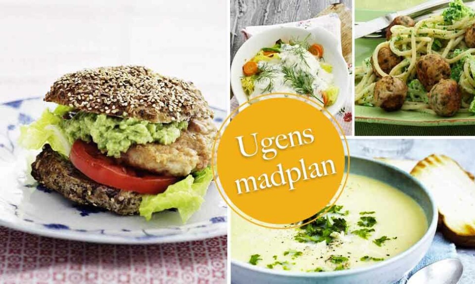 Madplan med nem aftensmad