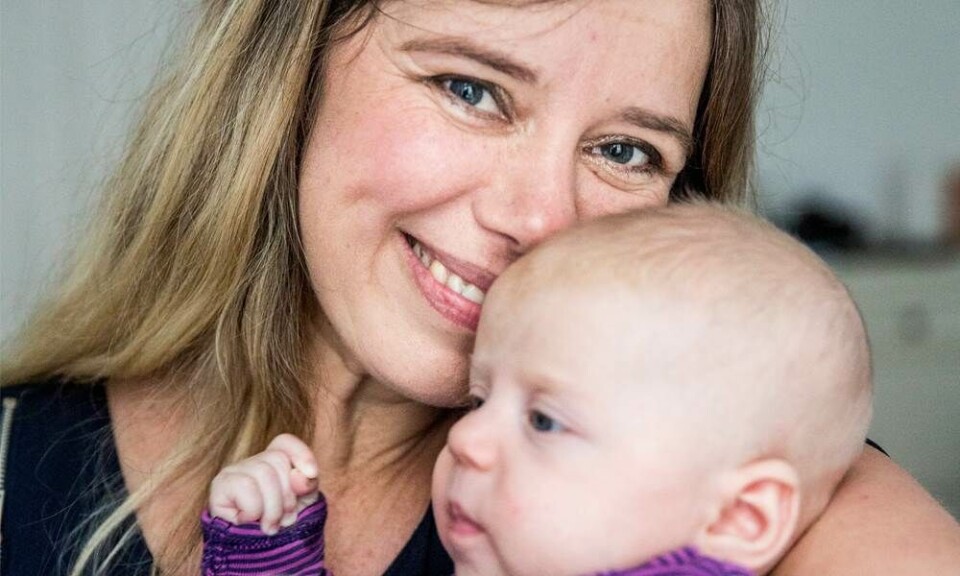 gravid over 40