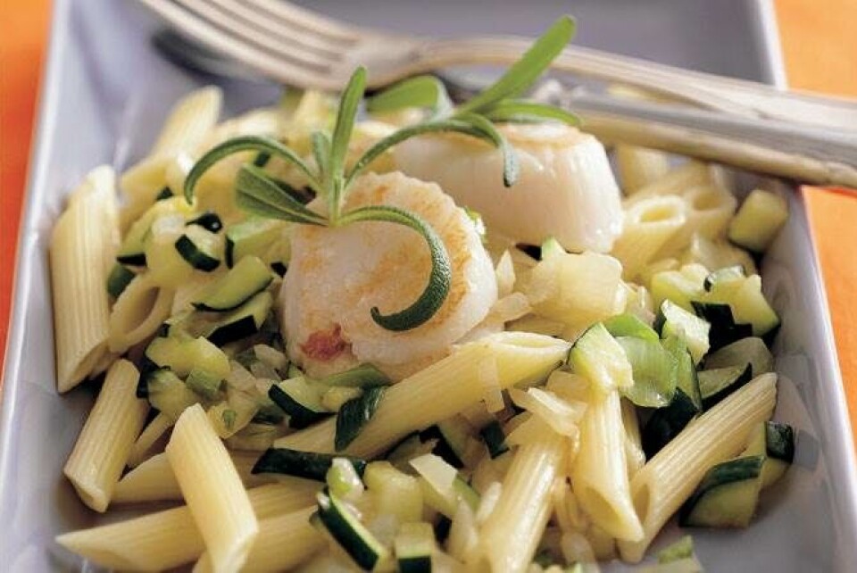 Kammuslinger med pasta og rosmarin