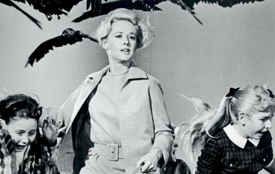 Hitchcock
