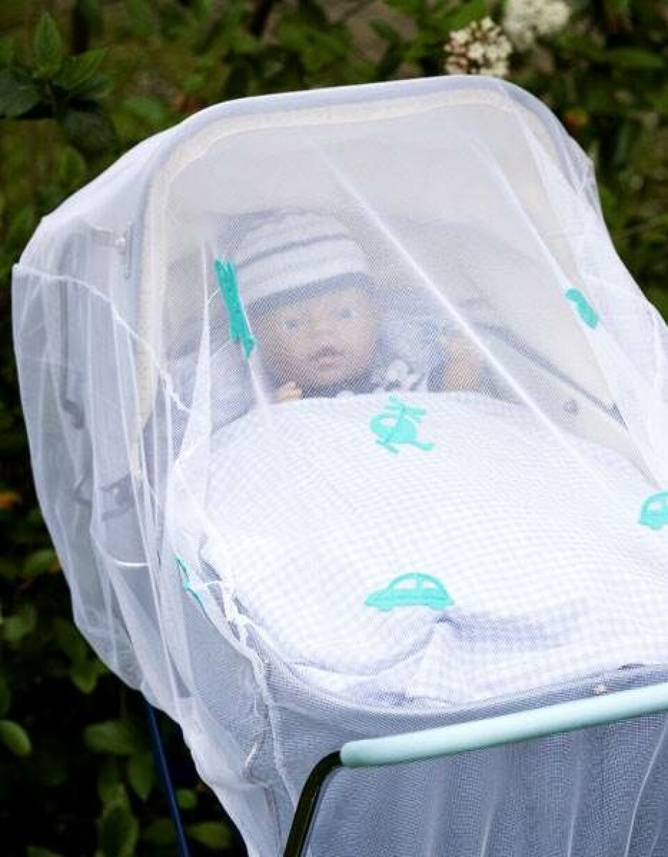 Myggenet med pose til Baby Born fra Hendes Verden