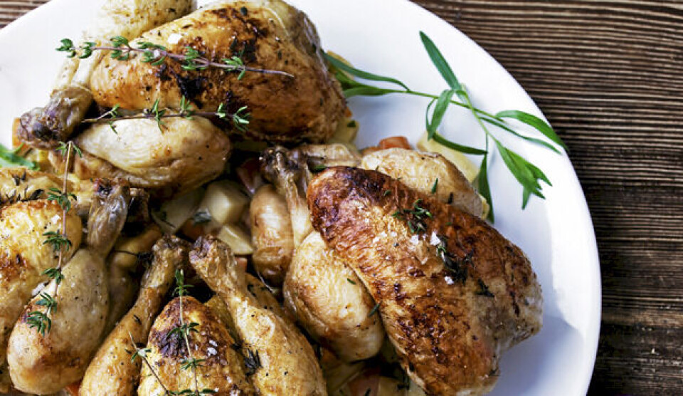 Poussiner opskrift og rodfrugt-ragout med sennep og estragon
