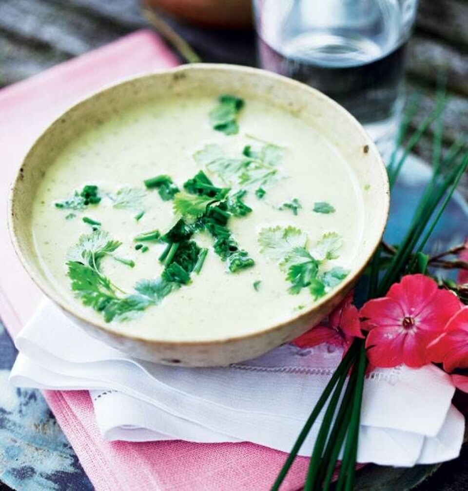 Courgettesuppe