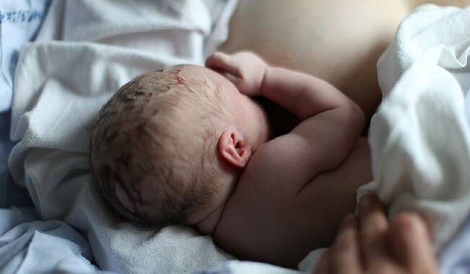 Babys udvikling