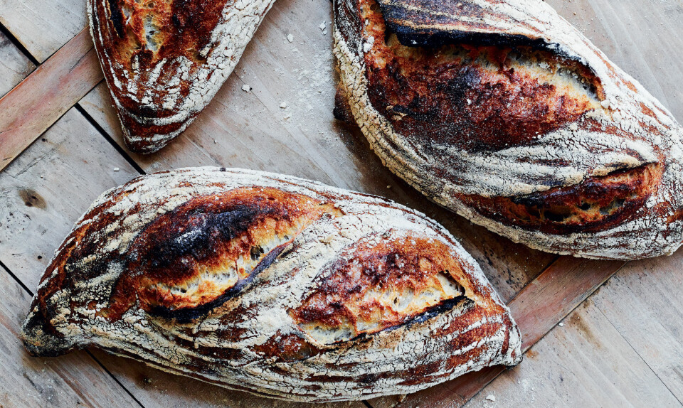 Levainbrød