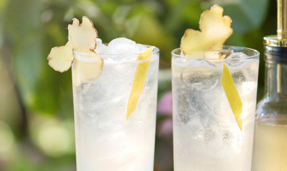 Ginger Tom Collins