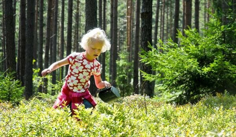 Ferie i Sverige