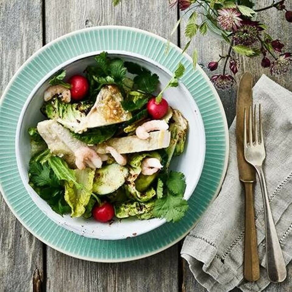 Kyllingebryst og rejer med grøn salat