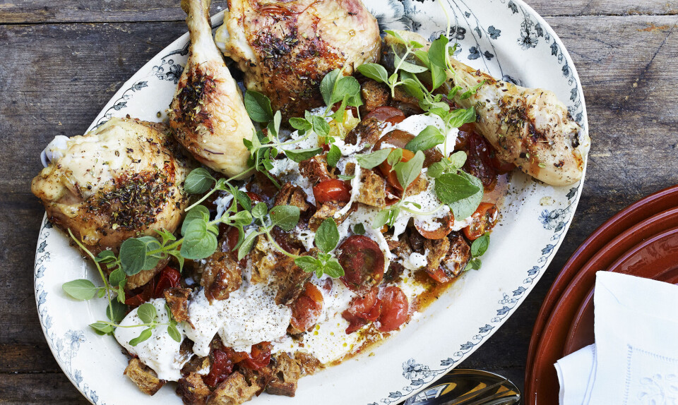 bagte tomater burrata
