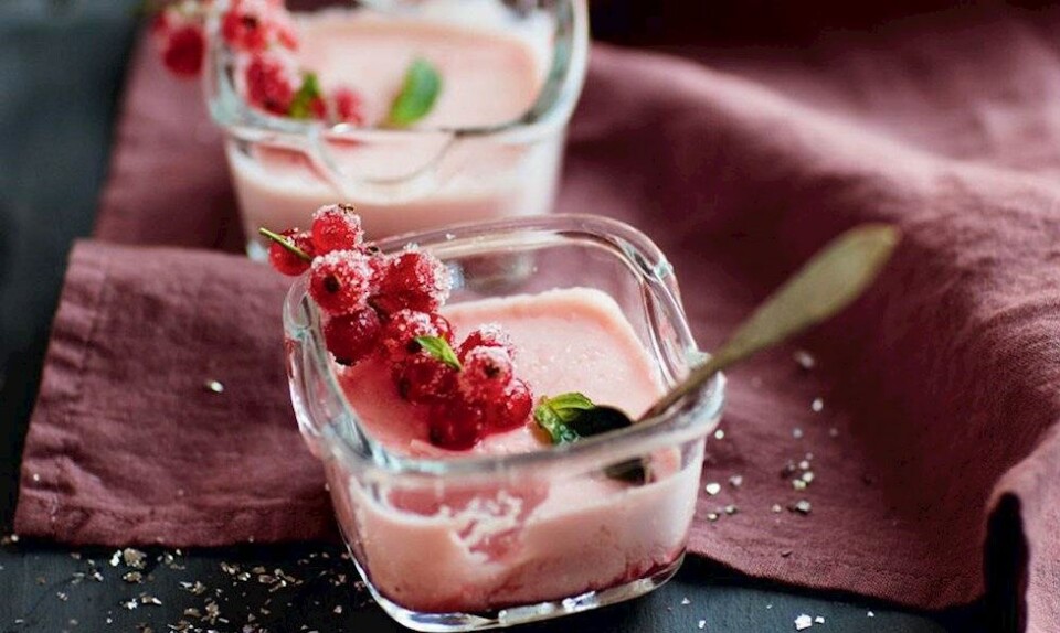 Opskrift på panna cotta med hindbær og ‘frosne’ ribs