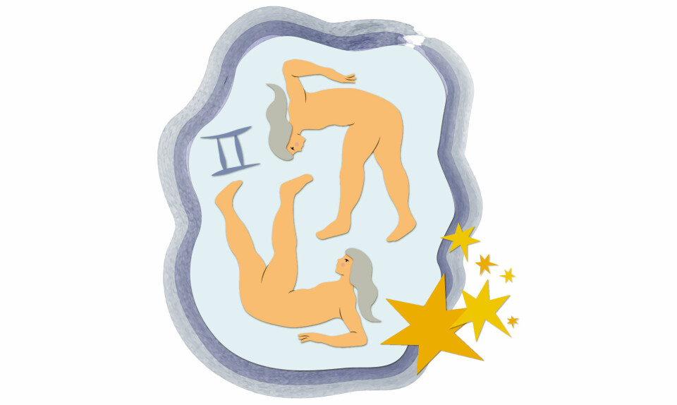 Horoskop tvilling illustration