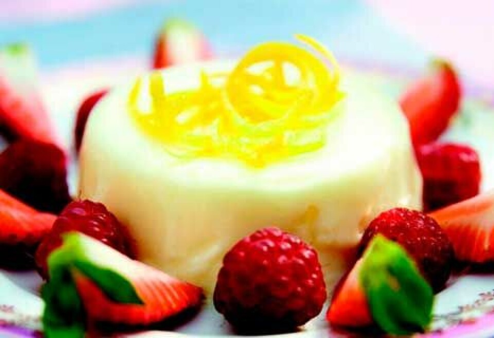 Hyldeblomst panna cotta