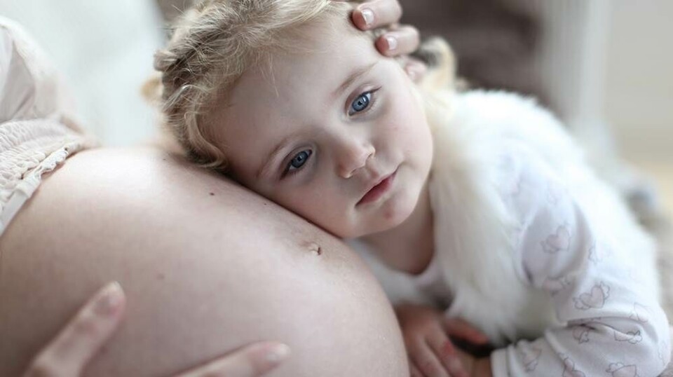 Gravid igen