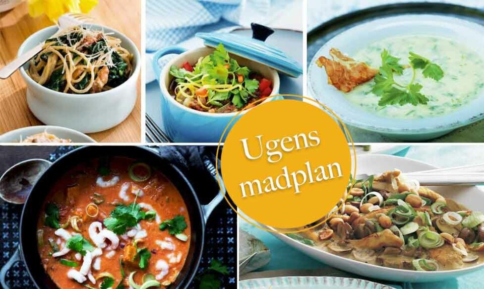 Madplan med nem aftensmad