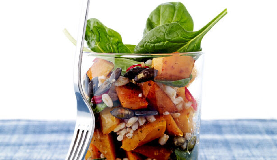 Perlespeltsalat opskrift