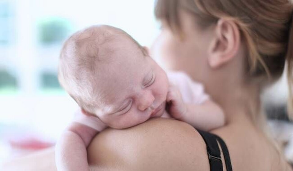 Din indre løvemor: Fingrene væk fra min baby!