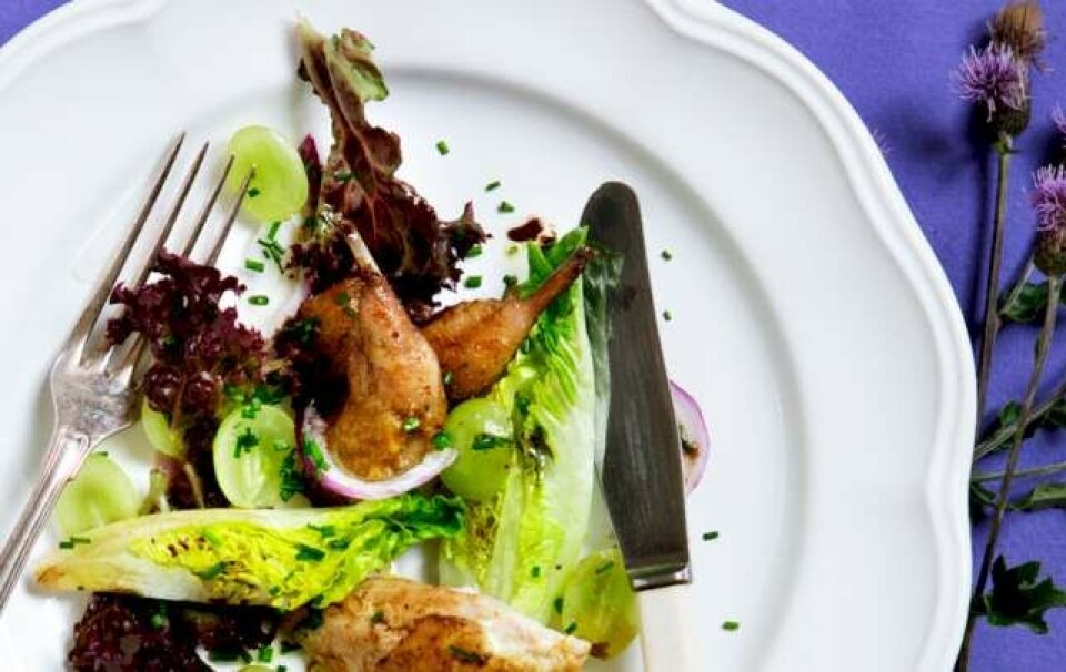 Opskrift på salat med marinerede druer og stegt vagtel