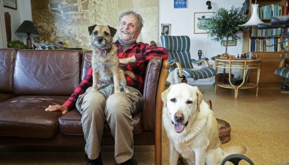 Den tidligere tv-vært har altid været omgivet af hunde. Her med terrieren Thit og labradoren Lillebror i stuen. (Foto: Niels Henrik Dam)