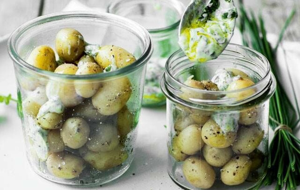 Nye kartofler med urtedip