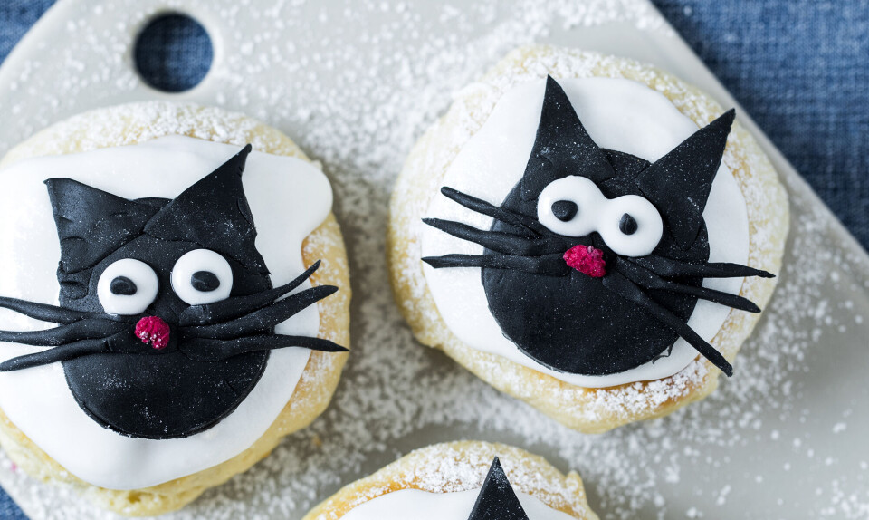 Katteboller Fastelavnsboller