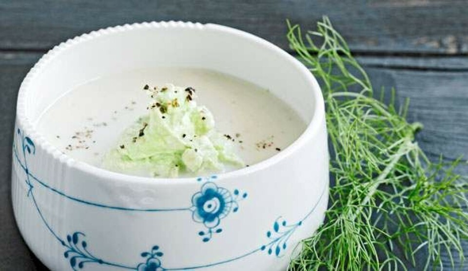 Opskrift på cremet blomkålssuppe med avocadomousse