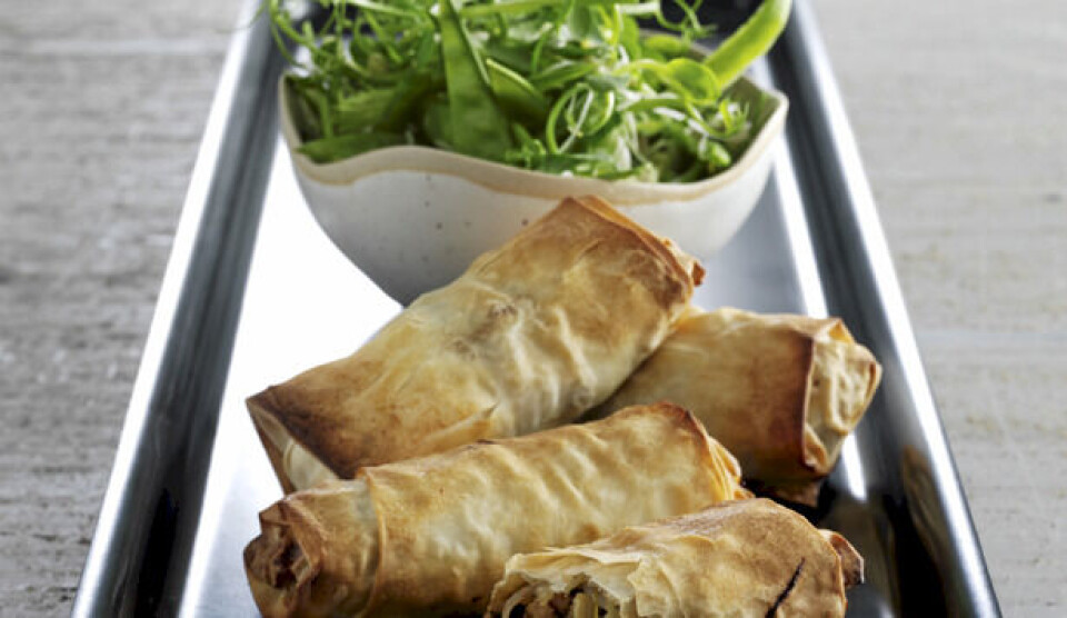Opskrift på sprøde forårsruller med salat