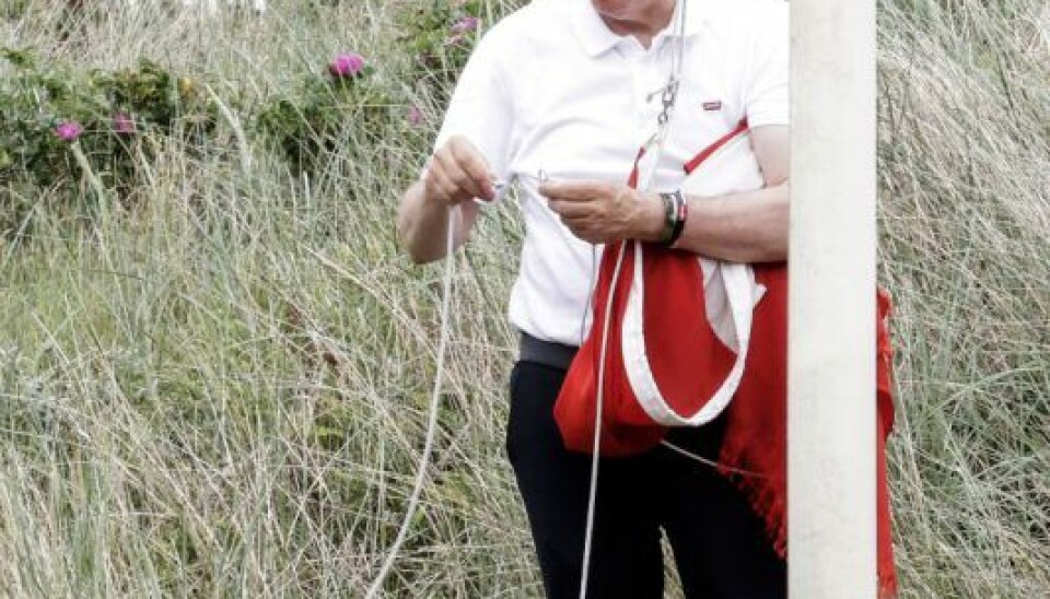Billede 5 - – Vinduesvask og flaget op, det er to sikre traditioner, jeg dyrker i sommerhuset. (Foto: Niels Henrik Dam)