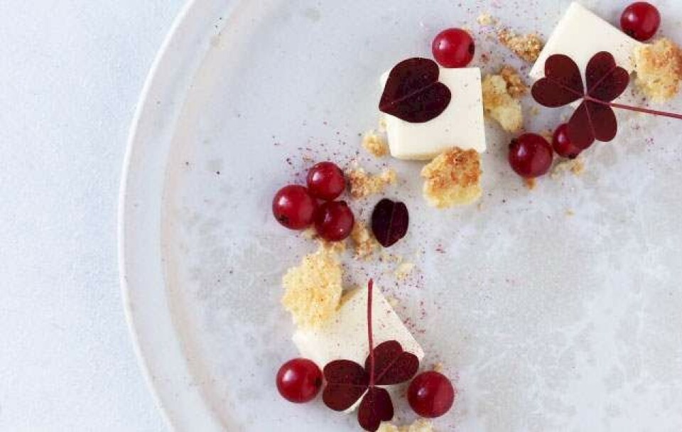 Hvid chokolade-cheesecake
