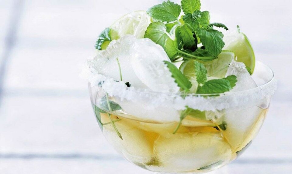 Opskrift på cocktail med hyldeblomst og lime