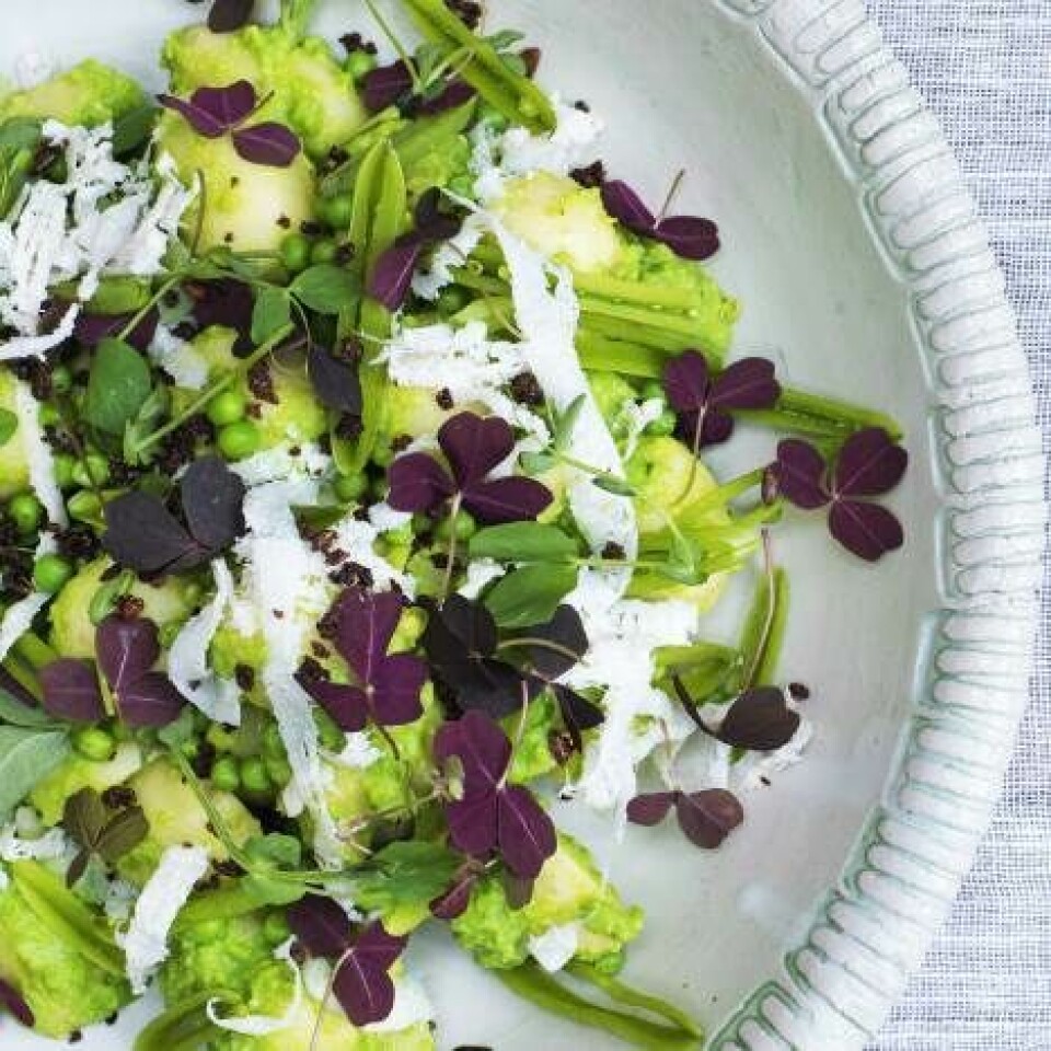 Nye kartofler med ærtepuré og rugknas Nye kartofler med ærtepuré og rugknas
