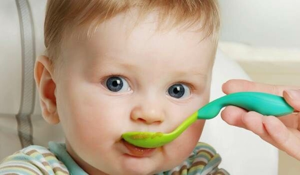 Babymad - tiden efter mælk