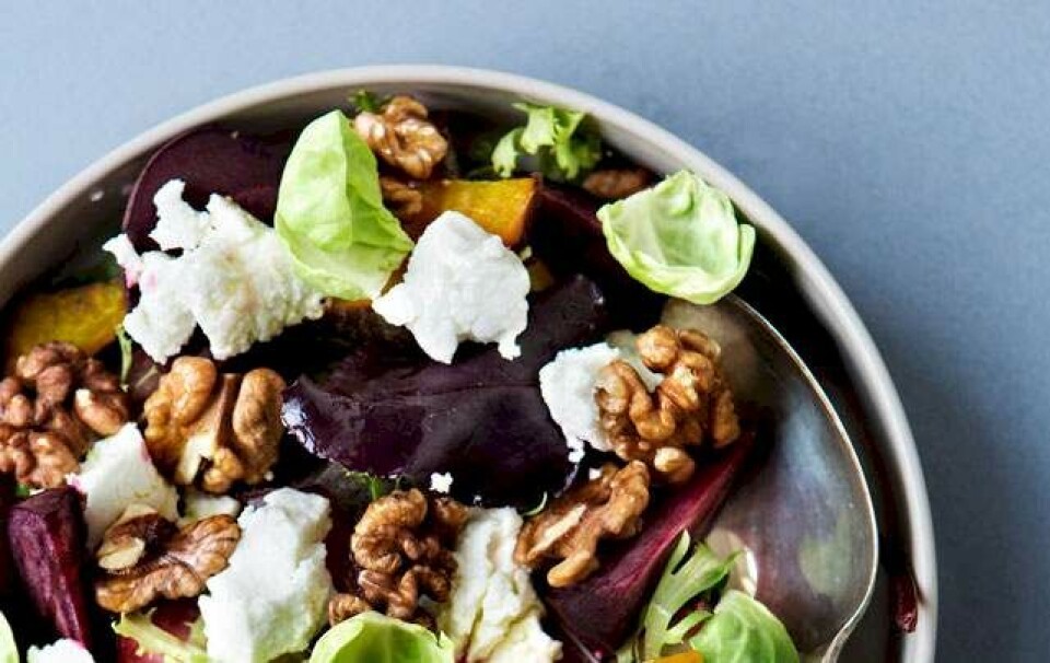 Flerfarvet rødbedesalat med gedeost, rosenkål og valnødder